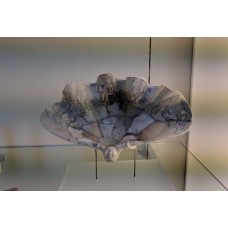 Engraved Tridacna shell depicting musicians